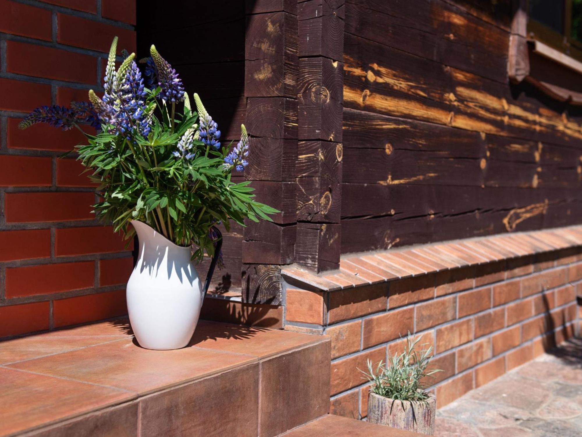 Holiday Home Szeroki Bor 2 By Interhome Exterior foto